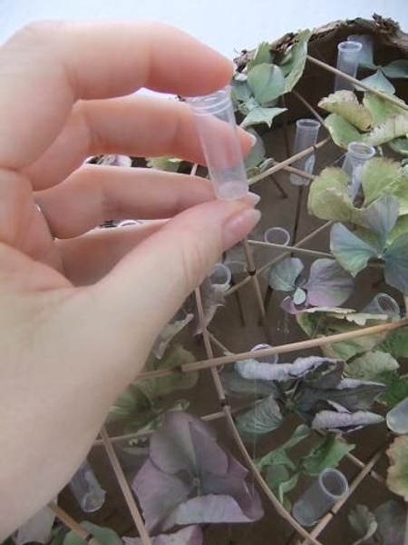 Slip the test tube on a stick between all the dried flowers. Slip the test tube on a stick between all the dried flowers.