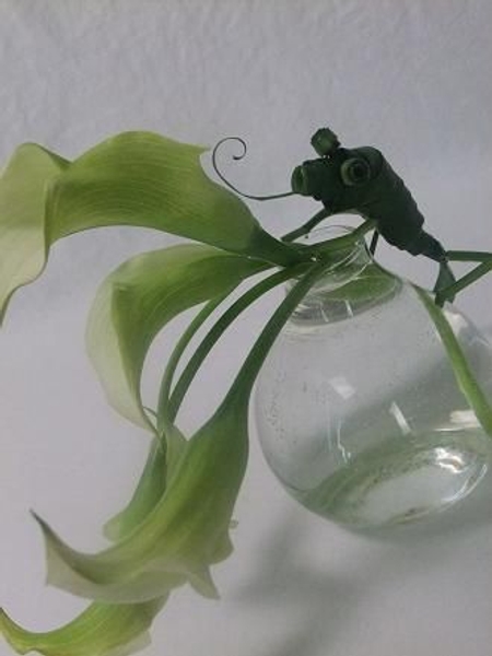 So far so green Chameleon. So far so green Chameleon.