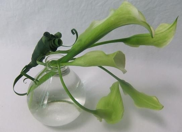 So far so green floral art design. So far so green floral art design.