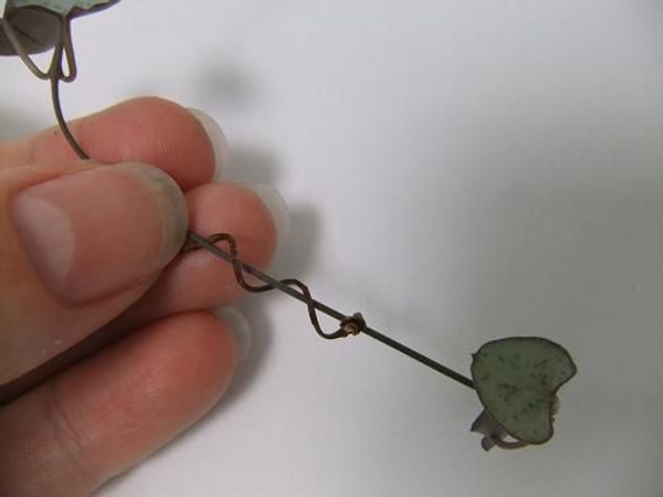 Spiral the twig around a stem of rosary vine