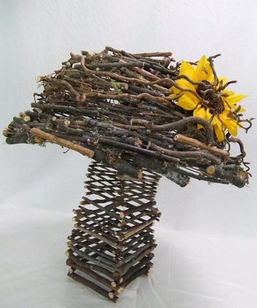 Summertime twig mushroom. Summertime twig mushroom.