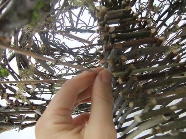 Thread a second Mikado reed through the twig cap. Thread a second Mikado reed through the twig cap.