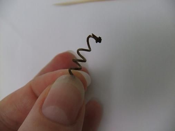 Twig spiral. Twig spiral.