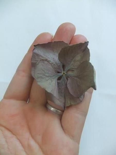 When you open your hand the flower will be smoothed out. When you open your hand the flower will be smoothed out.