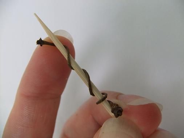 Wind the twig around a wooden skewer. Wind the twig around a wooden skewer.