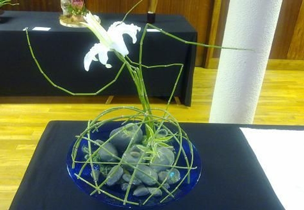 Floral Art Show- Singular Sensation