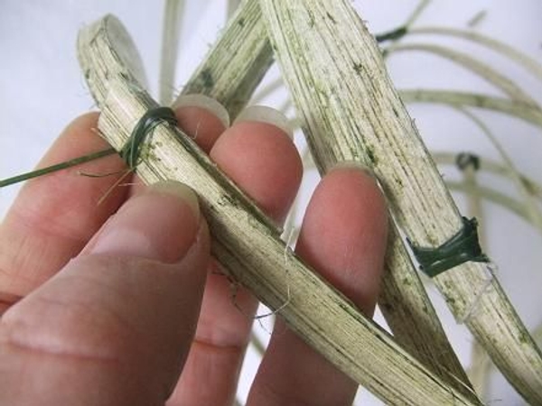 Follow each cane section as it coils over the basket and match it with its opposite. Follow each cane section as it coils over the basket and match it with its opposite.