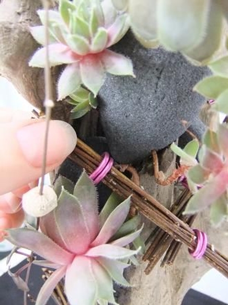 Press the wire into the Floral Foam. Press the wire into the Floral Foam.