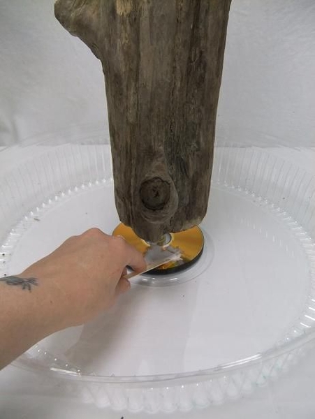 Spread the glue to cover the CD surface. Spread the glue to cover the CD surface.