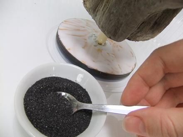 Sprinkle some black sand Sprinkle some black sand