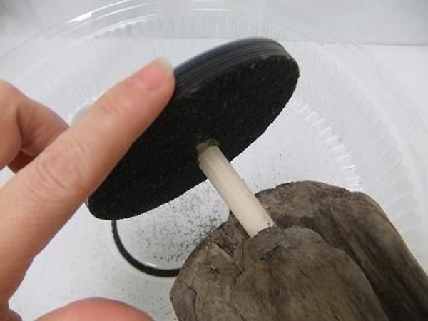 Turn the base on its side and tap to remove loose sand. Turn the base on its side and tap to remove loose sand.
