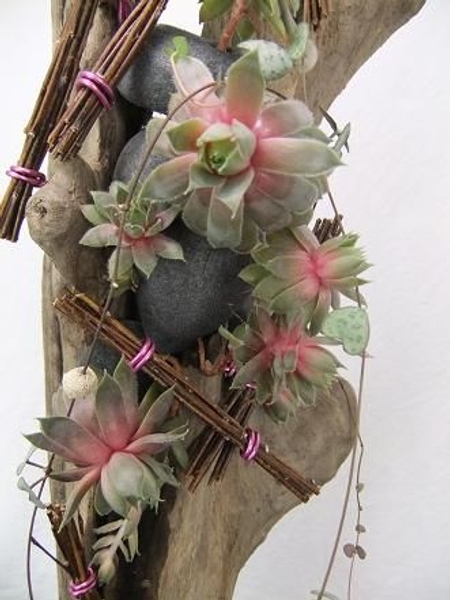 Twigs succulent and driftwood design. Twigs succulent and driftwood design.