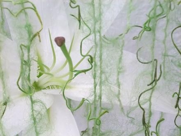 A veil of green wool rains over the design. A veil of green wool rains over the design.