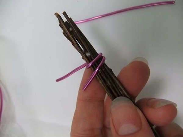Wrap the wire twice around the twigs. Wrap the wire twice around the twigs.