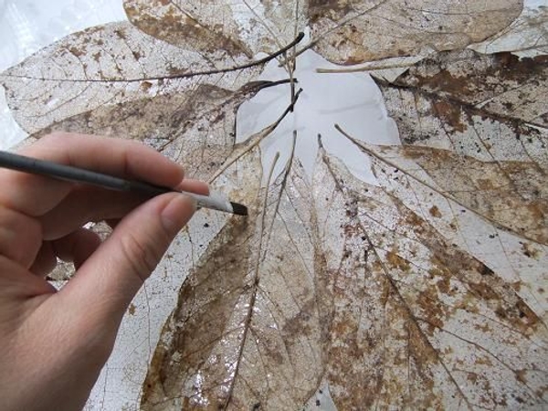 Continue painting the leaves all the way around. Continue painting the leaves all the way around.