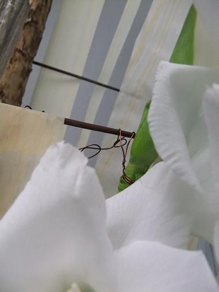 Hang the flower. Hang the flower.