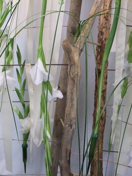 Hang the gladiolus from the side wires.jpg Hang the gladiolus from the side wires.jpg