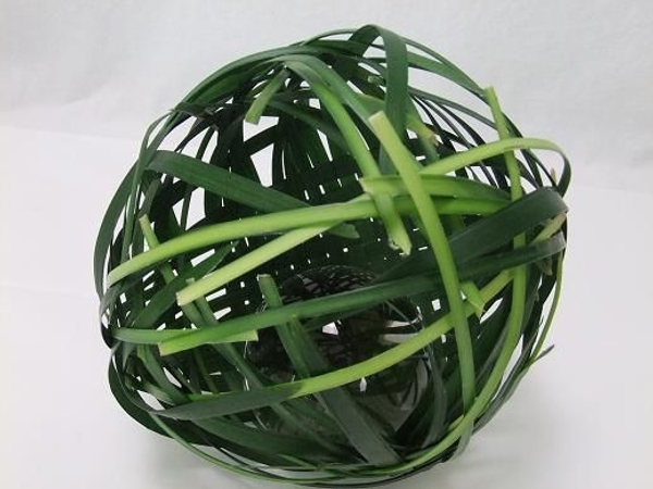 How to catch a dew drop Floral Art Design How to catch a dew drop Floral Art Design