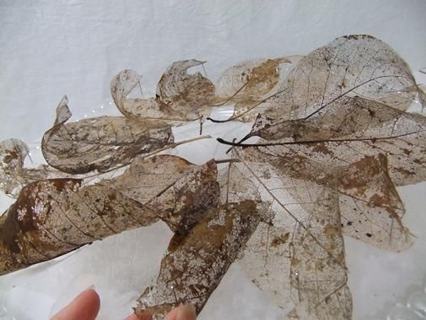 Let the leaf wreath dry completely before removing the pins. Let the leaf wreath dry completely before removing the pins.