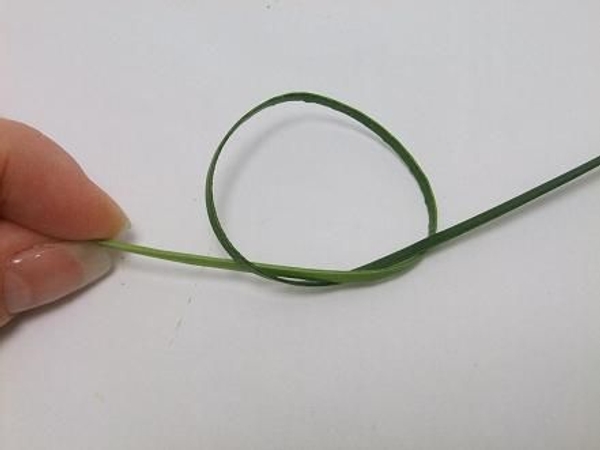 Make a knot Make a knot