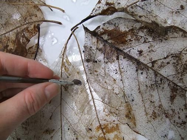 Paint the leaves with the glue. Paint the leaves with the glue.