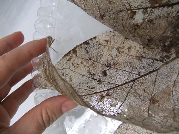 Pin the leaf curve into place Pin the leaf curve into place