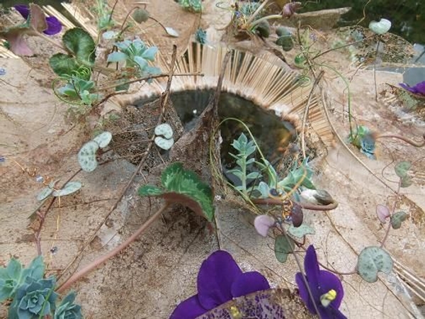 Skeleton leaves curl and whirl on a stir stick star-burst Skeleton leaves curl and whirl on a stir stick star-burst