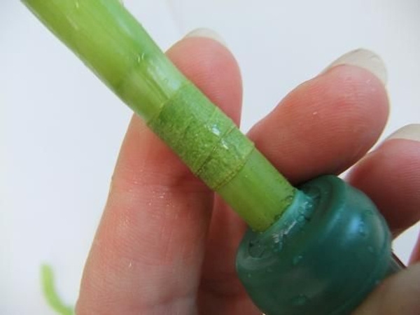 Tape the stem with florist tape. Tape the stem with florist tape.