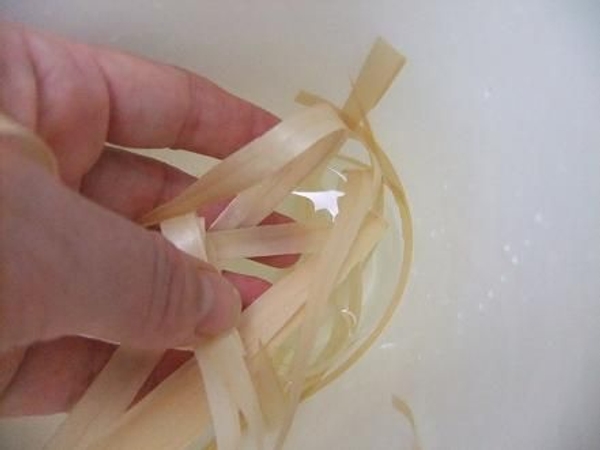 The wet strips are easy to manipulate The wet strips are easy to manipulate