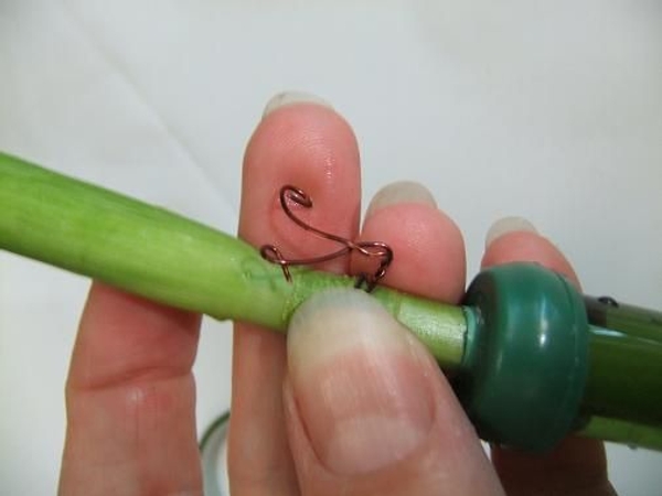 Twist the wire ends. Twist the wire ends.