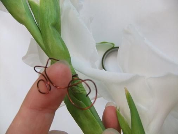 Twist the wires to have butterfly feeler hooks. Twist the wires to have butterfly feeler hooks.