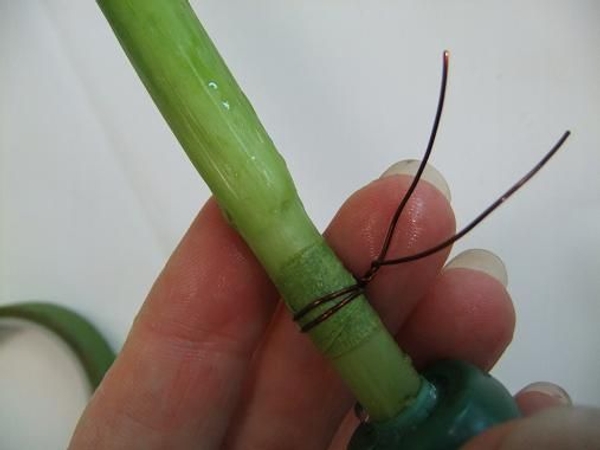 Wrap the wire twice around the stem and twist to secure Wrap the wire twice around the stem and twist to secure