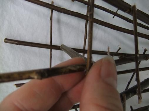 Connecting twigs. Connecting twigs.