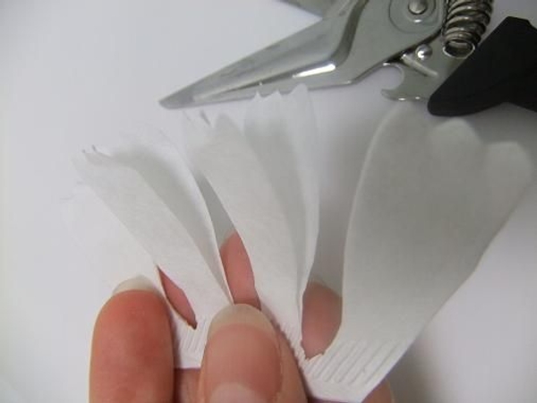 Cut a strip of petals. Cut a strip of petals.