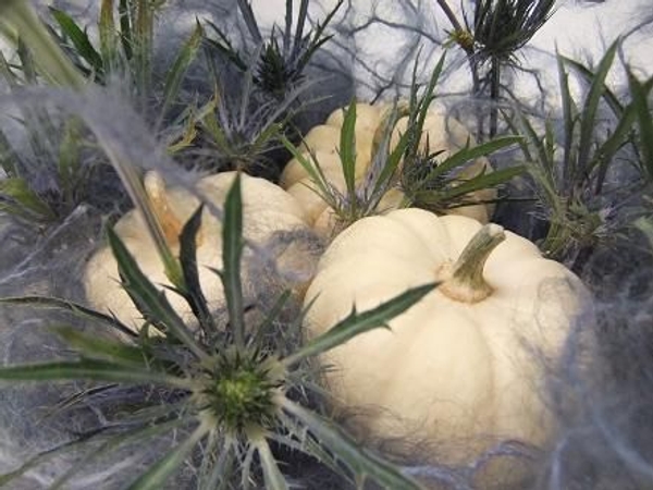 Ghost pumpkin basket for Halloween.