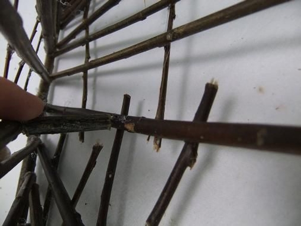 Glue in the connecting twigs. Glue in the connecting twigs.