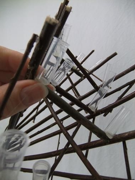 Glue in the tiny test tubes. Glue in the tiny test tubes.