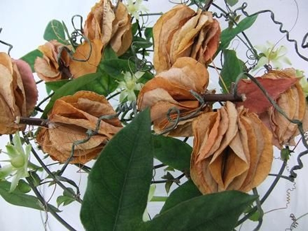 Small pumpkins made from autumn leaves. Small pumpkins made from autumn leaves.