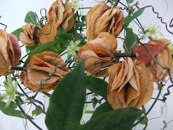 Small pumpkins made from autumn leaves.