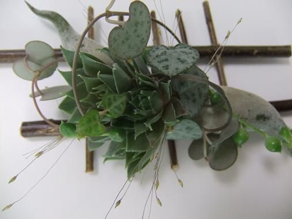 Succulent and Air Plant Boutonniere design for my video. Succulent and Air Plant Boutonniere design for my video.