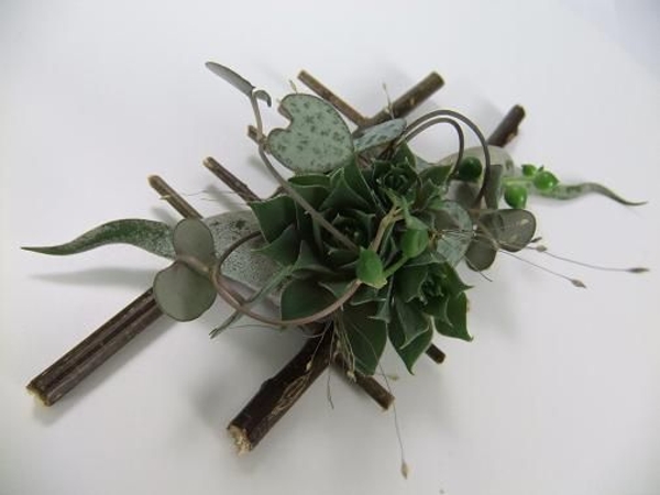 Twig, Succulent and Air Plant Boutonniere. Twig, Succulent and Air Plant Boutonniere.