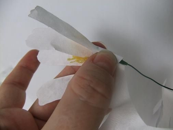 Wrap the petal strip around the disk floret. Wrap the petal strip around the disk floret.