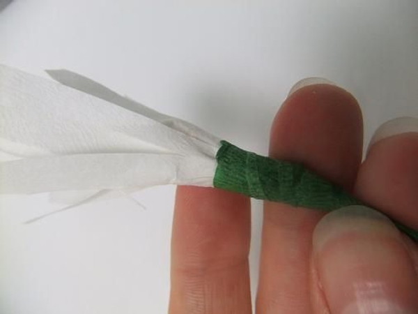 Wrap the stem with florist tape before folding the petals open. Wrap the stem with florist tape before folding the petals open.
