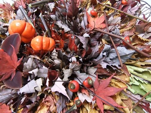 Autumn leaves Autumn leaves