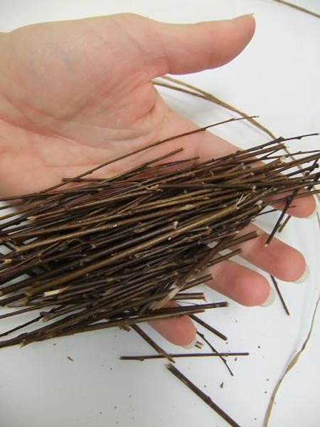 Cut a handful of small twigs