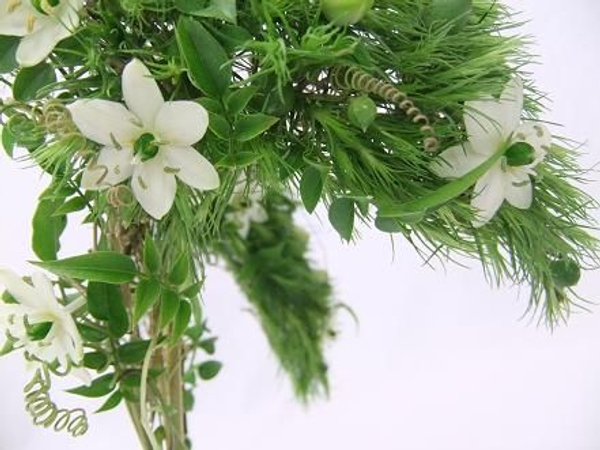 Detail of the stem of the floral wing design. Detail of the stem of the floral wing design.