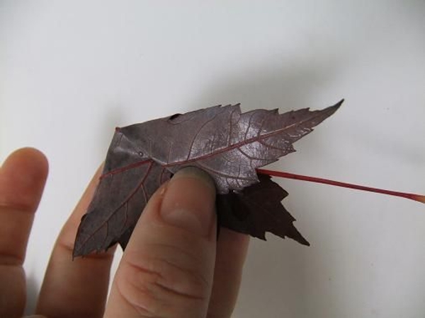 Fold the one side over the stem. Fold the one side over the stem.