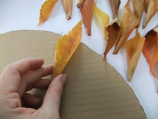 Glue the leaves to the outer edge of the cardboard. Glue the leaves to the outer edge of the cardboard.