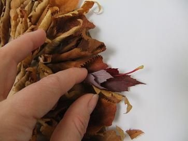 Glue the rolled leaves into the gaps. Glue the rolled leaves into the gaps.