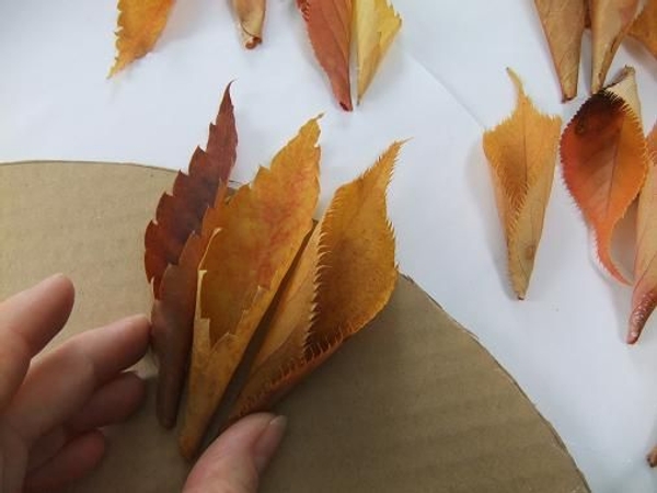 Leave a slight gap between the leaves. Leave a slight gap between the leaves.